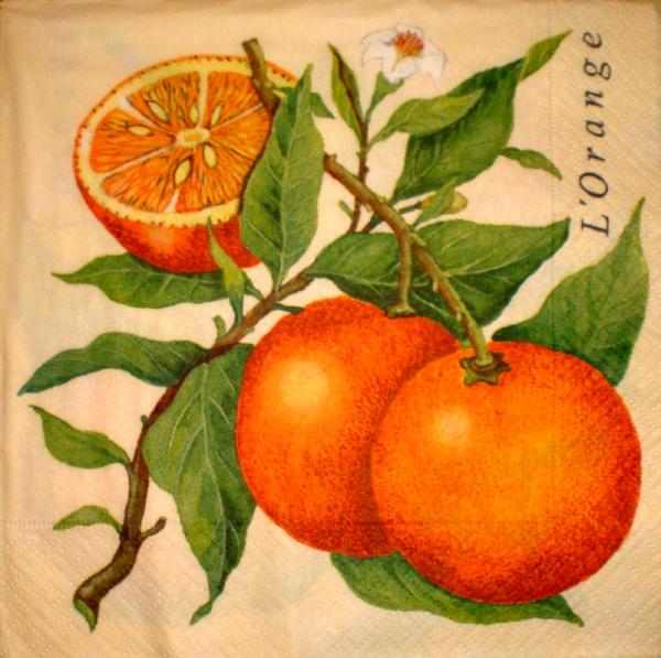 035 Lemons,  Oranges - 3-ply - Atelier